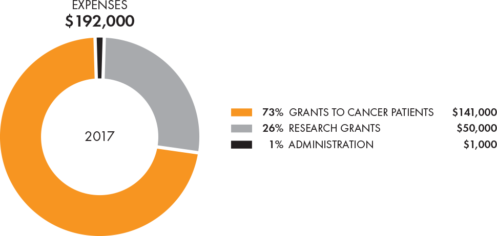 DAM Cancer 2017 Financials